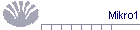 Mikro1